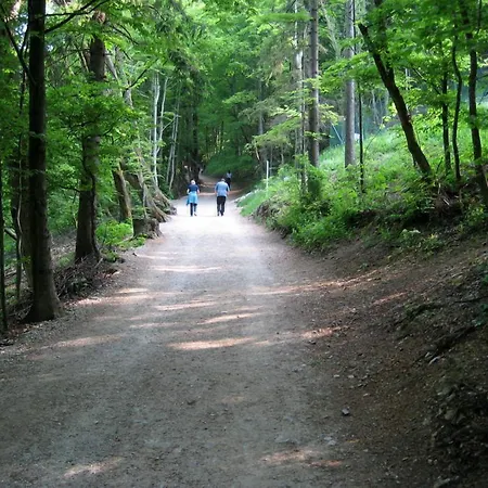 Dvor Tacen Ljubljana