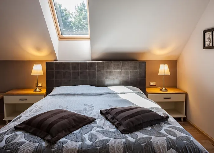 Bed & Breakfast Dvor Tacen 4*