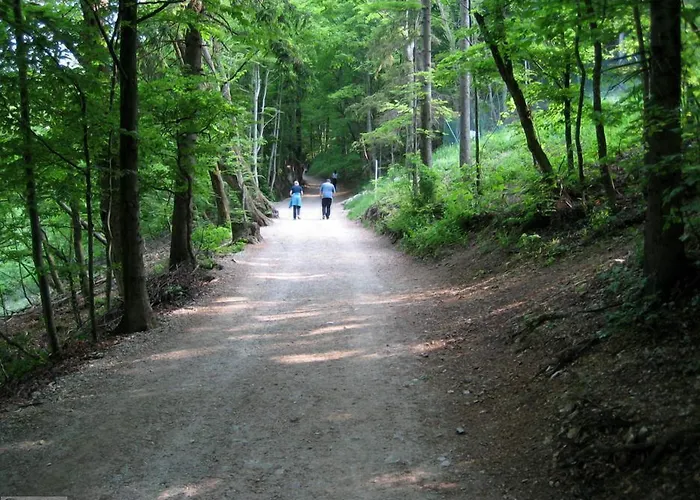 Dvor Tacen Ljubljana