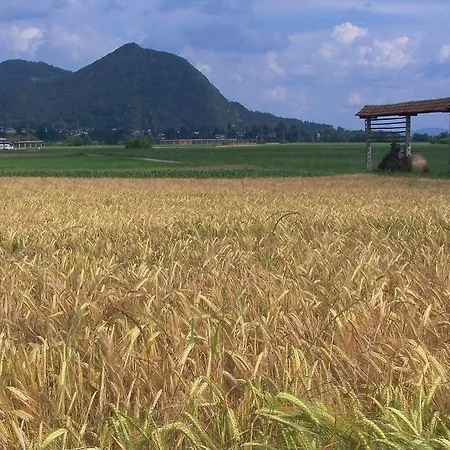 디보르 타센 4* 류블랴나
