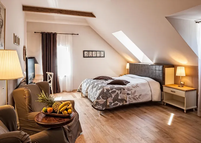 Dvor Tacen Bed & Breakfast