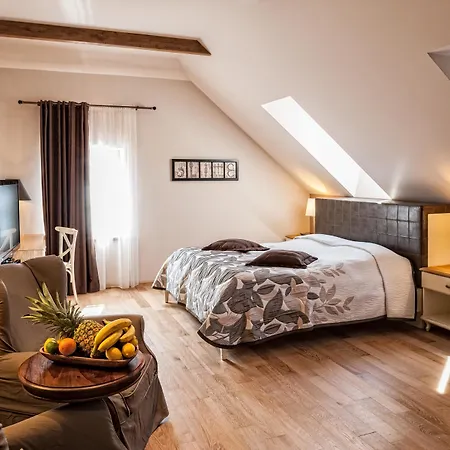 Dvor Tacen Bed & Breakfast