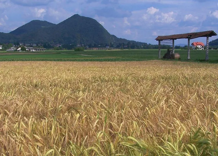 Dvor Tacen 4* Lubiana